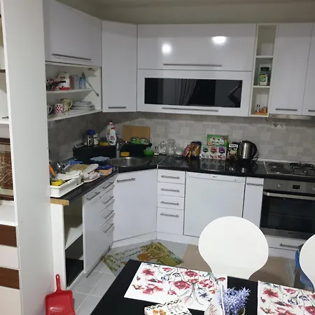 Sarajevo Spacious Fully Air-conditioned With Parking And Bbq Apartman *